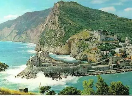 Olivo Porto Venere