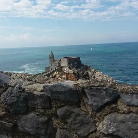 Olivo Porto Venere
